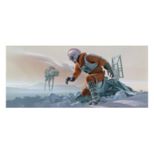 Abrams Star Wars Ralph McQuarrie - 100 Panoramic Postcards