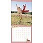 Heye Pippi Longstocking 2024 Calendar