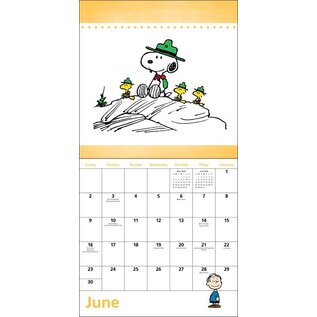 Andrews McMeel Peanuts 2024 Calendar - 2024 Kalender