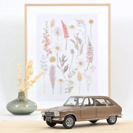 Norev Renault 16 TX 1974 Metallic Beige 1:18