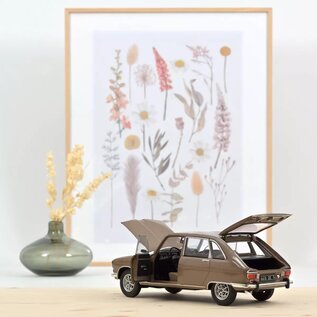 Norev Renault 16 TX 1974 Metallic Beige 1:18