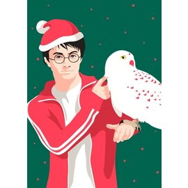 Nobis Design Pop Art New Generation kerstkaart - Harry Potter met Hedwig