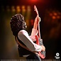 Knucklebonz Rock Iconz  - Queen - Brian May beeld