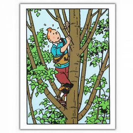 moulinsart Tintin greeting card - Tintin in Tree