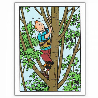 moulinsart Tintin greeting card - Tintin in Tree