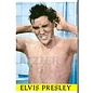 Plaizier Postcard - Elvis Presley