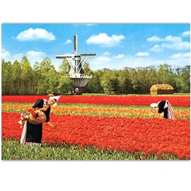 Catch Publishing Postkarte - Holland Windmühle, Tulpen und Milchmädchen