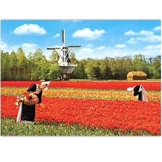 Catch Publishing Postkarte - Holland Windmühle, Tulpen und Milchmädchen