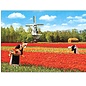 Catch Publishing Postkarte - Holland Windmühle, Tulpen und Milchmädchen