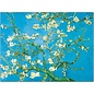 Tushita Postcard - Vincent van Gogh - Almond Blossom 1890