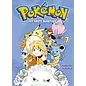 Panini Pokémon Manga 07