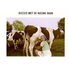 Kartoenfabriek Postkarte - Succes met de nieuwe baan
