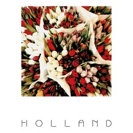 The Card Company Postcard - Holland - Tulips