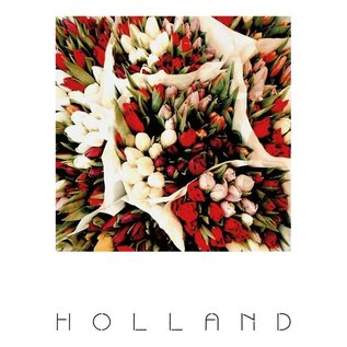 The Card Company Postkaart - Holland - Tulpen