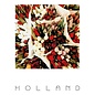 The Card Company Postcard - Holland - Tulips