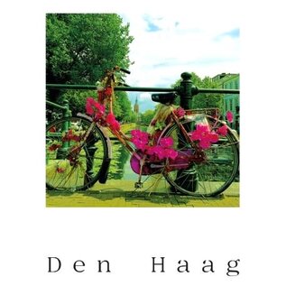 The Card Company Postkaart - Den Haag - Toussaintkade / Paleistuinen fiets met bloemen