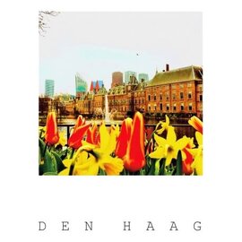 The Card Company Postcard - The Hague - Hofvijver