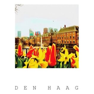 The Card Company Postkaart - Den Haag - Hofvijver