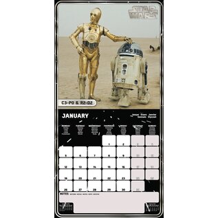 Pyramid Disney  Star Wars calendar 2026