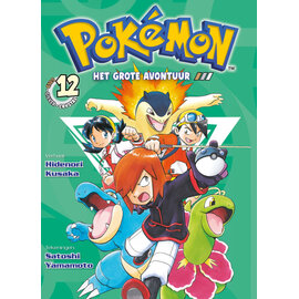 Panini Pokémon Manga 12