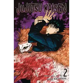 Panini Jujutsu Kaisen 2 Vervloekte baarmoeder