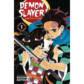 Panini Koyoharu Gotouge - Demon Slayer - Kimetsu no Yaiba deel 1