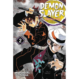 Panini Koyoharu Gotouge - Demon Slayer - Kimetsu no Yaiba deel 2