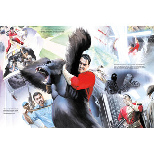 Dark Dragon Books Shazam! Kracht van hoop - DC Icons