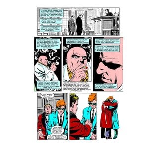 Marvel Marvel Premier Collection - Daredevil Born Again