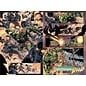Marvel Marvel Premier Collection - Planet Hulk