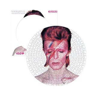 Aquarius David Bowie - Aladdin Sane Picture Disk  Shaped puzzel - 450 stukjes