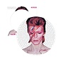 Aquarius David Bowie – Aladdin Sane Picture Disc Puzzle – 450 Teile