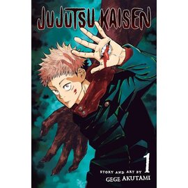 Viz Media Gege Akutami - Jujutsu Kaisen