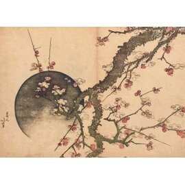 Tushita Postkaart Fine Arts - Isoda Koryusai