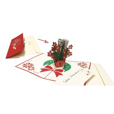 Tips for Christmas gift