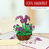 LINPOPUP Pop Up Card Flower, Birthday, 3D Greeting Cards Flower Card Folding Card Birthday Card Good Luck Get Well Soon, Wellness Voucher, Orchid, LIN 17615, LINPopUp®, N358