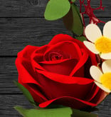 LIN FlowerBag Deluxe, Handgemachter Blumenstrauß, inkl. LIN Pop Up Karte, als Geschenk zum Geburtstag, Muttertag, Jubiläum, Gute Besserung, Danke, Glückwunsch, 1 Rose
