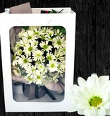 LINPOPUP FlowerBag Deluxe, Handgemachter Blumenstrauß, inkl. LIN POP UP Karte, als Geschenk zum Geburtstag, Muttertag, Jubiläum, zur Guten Besserung, Danke, Glückwunsch, Margeriten, LIN17759, LINPopUp®, N901