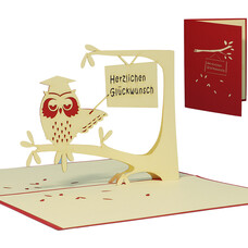LINPOPUP Pop Up Card, 3D Card, Owl Doctor Hat, red, N27