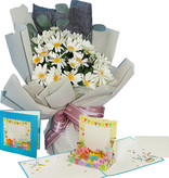 LINPOPUP FlowerBag Delux, handmade bouquet - incl. LIN POP UP card, as a gift for birthday - mother's day - anniversary - get well - thank you - congratulations - daisies, LIN17759, LINPopUp®, N900