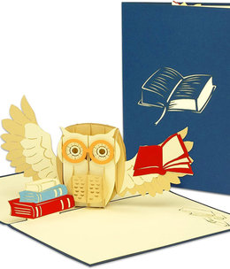 LINPOPUP Pop Up Card, 3D Card, Book Voucher, Owl, N283