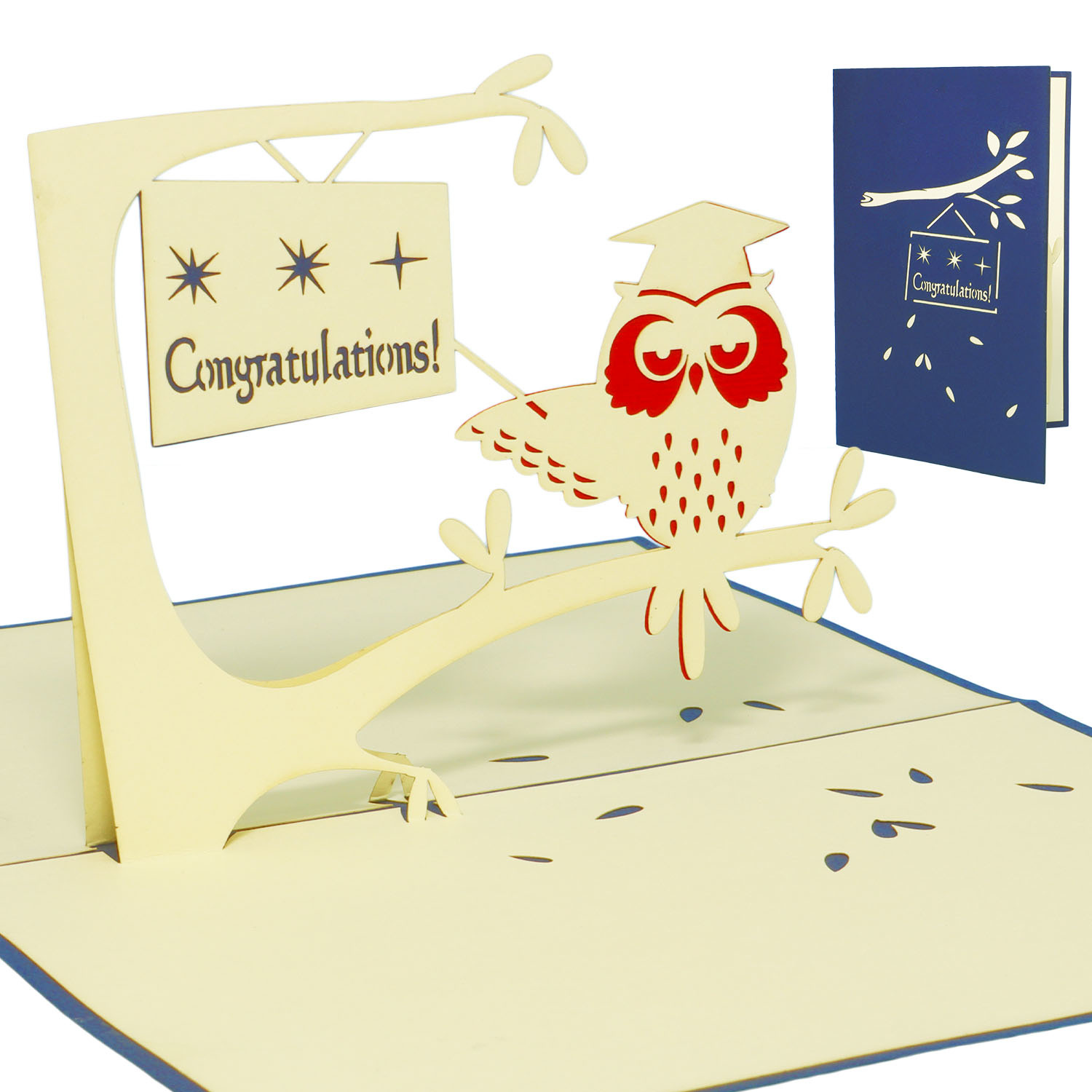 LINPOPUP Pop Up 3D Card, Birthday Card, Congratulations Graduation Card, Owl Doctor Hat, LIN17350, LINPopUp®, N230