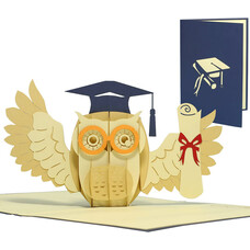 LINPOPUP Pop Up Card, 3D Card, Owl Certificate, N284