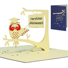LINPOPUP Pop Up Card, 3D Card, Owl Doctor Hat, blue, N26