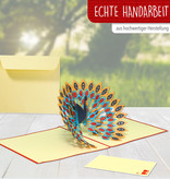 LINPOPUP Pop Up 3D Card, Birthday Card, Greeting Card, Peacock, LIN17240, LINPopUp®, N142