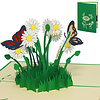 LINPOPUP Pop Up 3D Karte, Geburtstagskarte, Glückwunschkarte Muttertag, Margeriten Blumen, LIN17554, LINPopUp®, N310