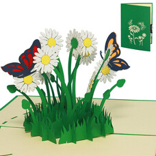 LINPOPUP Pop Up Karte, 3D Karte, Blumen, Margeriten, N310