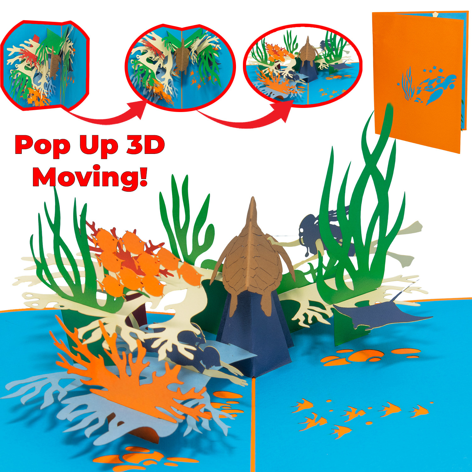 Pop Up Card Diver, Marine Biology, Voucher Diving Equipment the