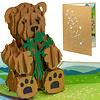 LINPOPUP LINPopUp, pop-up card bear, 3D card, greetings card for a birthday, good luck, pop-up card nature, bear by the river, N78