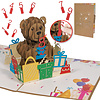 LINPOPUP LINPopUp, pop-up card bear, 3D card, greeting card for birthday, good luck, pop-up card nature, bear with individual numbers, N173